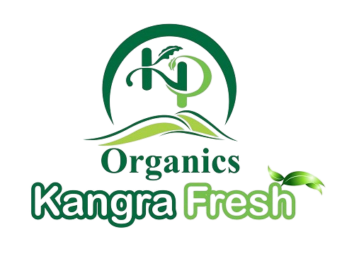 ./LOGO-removebg-preview_1787196716799